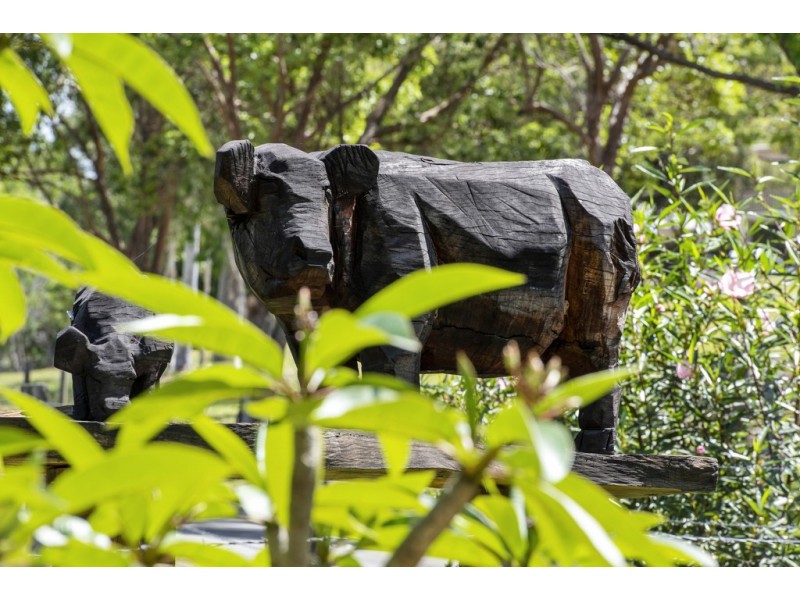 36 Tunba Ct, Cooroy Mountain QLD 4563