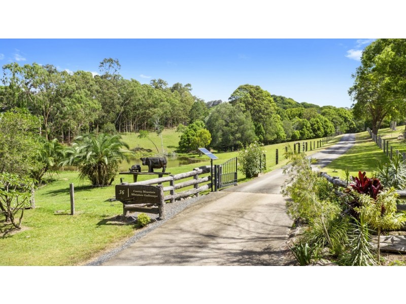 36 Tunba Ct, Cooroy Mountain QLD 4563