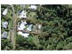 8 Upland Court, Tinbeerwah QLD 4563