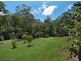 15 Vines Ct, Tinbeerwah QLD 4563