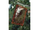 6 Wendoma Court, Tinbeerwah QLD 4563