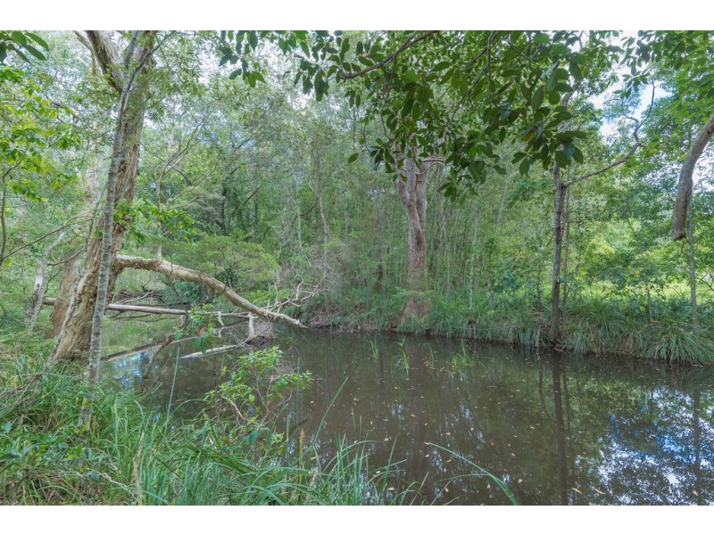 365 Louis Bazzo Dr, Pomona QLD 4568