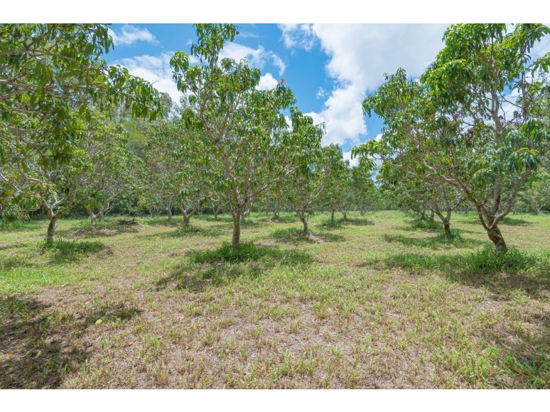 365 Louis Bazzo Dr, Pomona QLD 4568