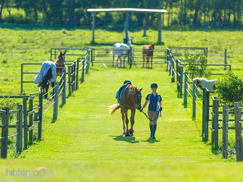 61 Pavilion St, Pomona QLD 4568