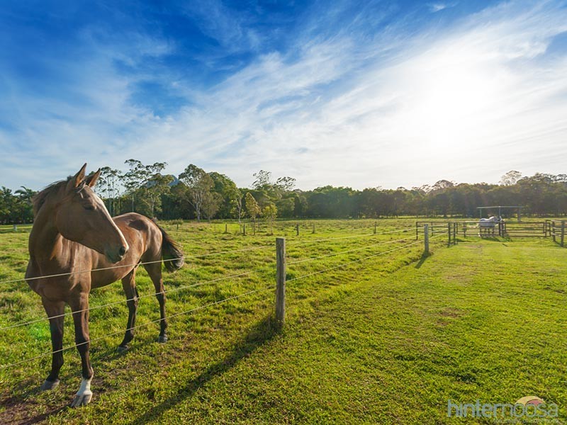 61 Pavilion St, Pomona QLD 4568