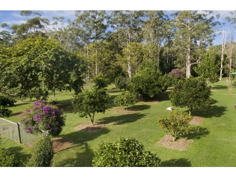 745 Ringtail Creek Rd, Pomona QLD 4568