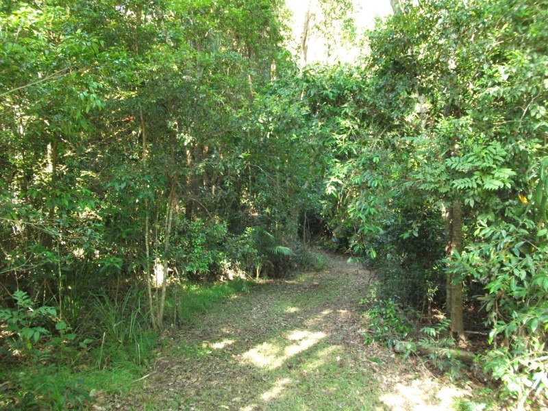 745 Ringtail Creek Rd, Pomona QLD 4568