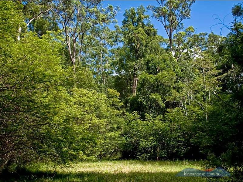 53 Stratford Park Drive, Pomona QLD 4568