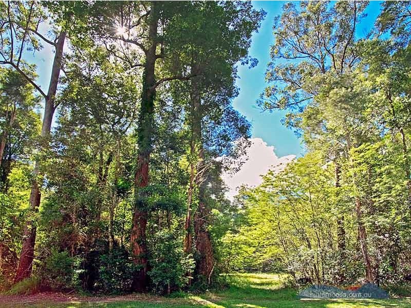 53 Stratford Park Drive, Pomona QLD 4568