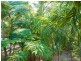 11 Tanglewood Close, Pomona QLD 4568