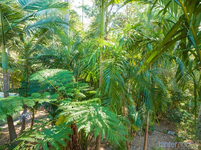 11 Tanglewood Close, Pomona QLD 4568