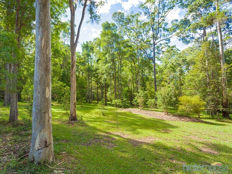 52 Woodcutter Rise, Pomona QLD 4568