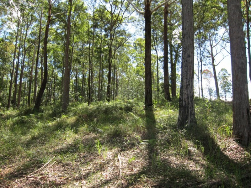 18 Dean Rd, Verrierdale QLD 4562