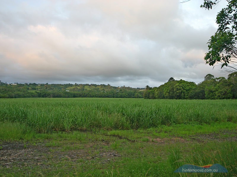 7 Sale Street, Eumundi QLD 4562