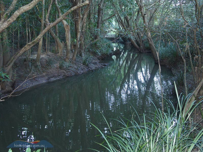 7 Sale Street, Eumundi QLD 4562