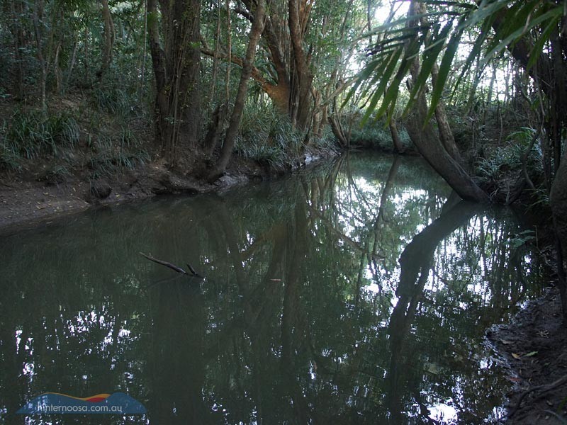 7 Sale Street, Eumundi QLD 4562