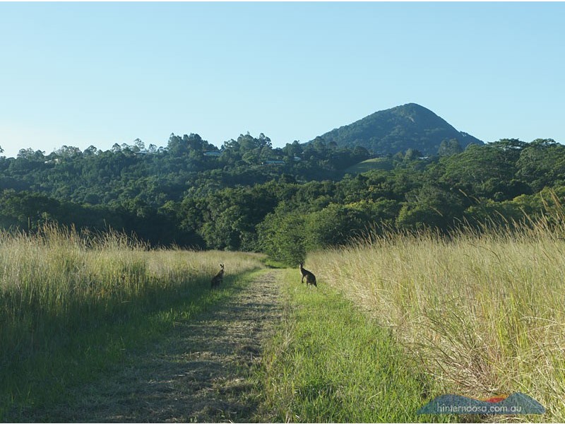 7 Sale Street, Eumundi QLD 4562