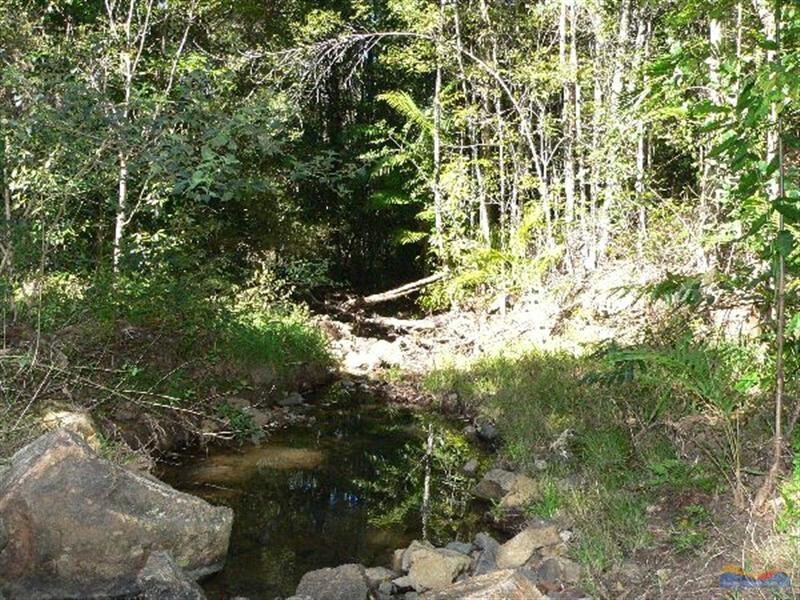 91 Sunrise Rd, Eumundi QLD 4562