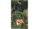 140 Valley Dr, Doonan QLD 4562