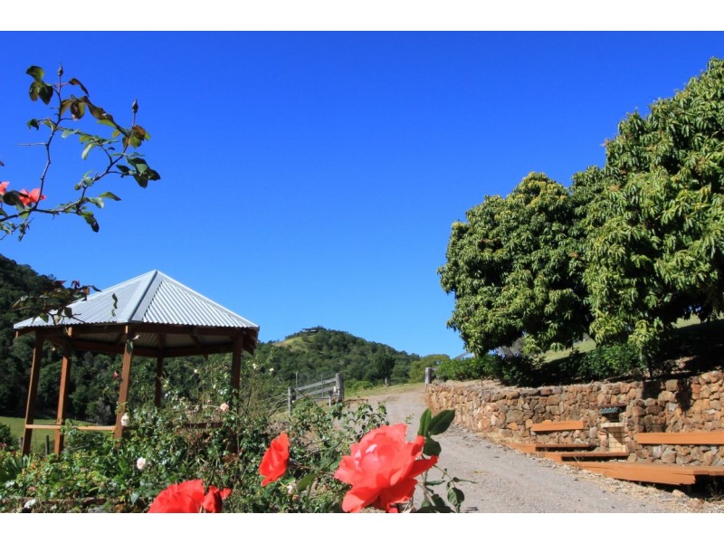 111 Lukes Rd, Cooroy Mountain QLD 4563