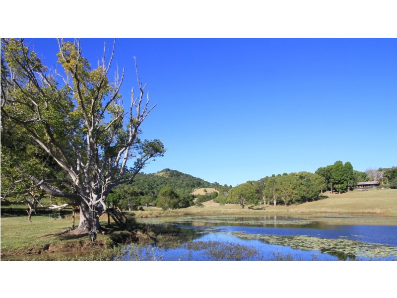 111 Lukes Rd, Cooroy Mountain QLD 4563