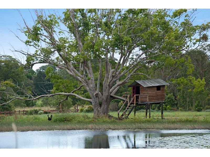 111 Lukes Rd, Cooroy Mountain QLD 4563