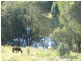 182 Uhlmanns Rd, Federal QLD 4568
