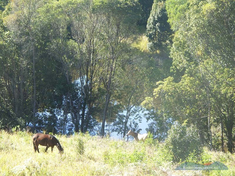 182 Uhlmanns Rd, Federal QLD 4568