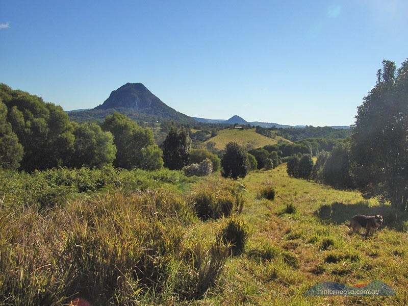 182 Uhlmanns Rd, Federal QLD 4568