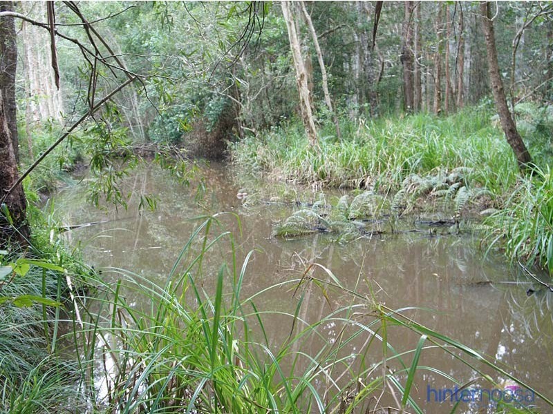85 Summit Road, Pomona QLD 4568