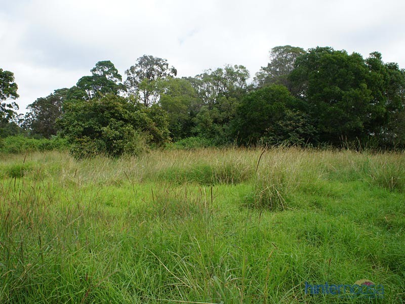 85 Summit Road, Pomona QLD 4568
