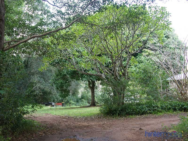 85 Summit Road, Pomona QLD 4568