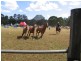 Pomona QLD 4568