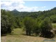 Lot 71 Lilly Pilly Rise, Eumundi QLD 4562