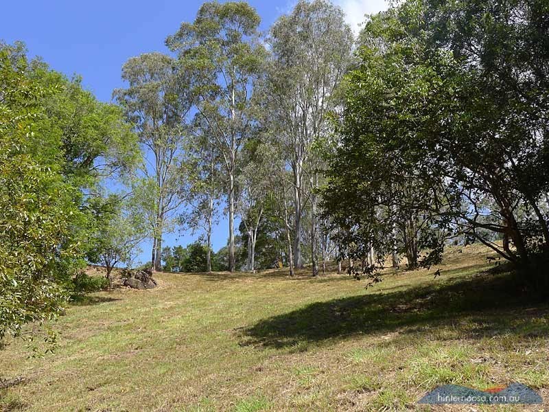 Lot 71 Lilly Pilly Rise, Eumundi QLD 4562