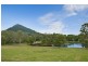 Cooroy QLD 4563
