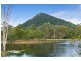 Cooroy QLD 4563