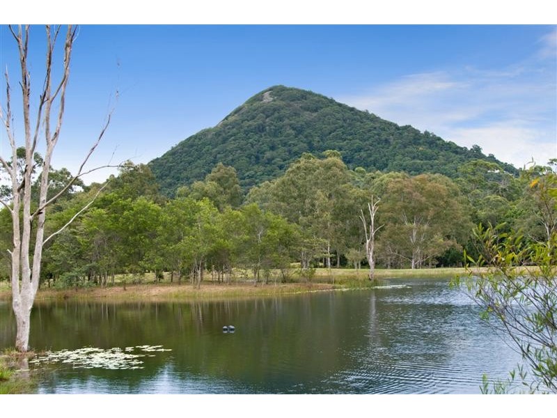 Cooroy QLD 4563