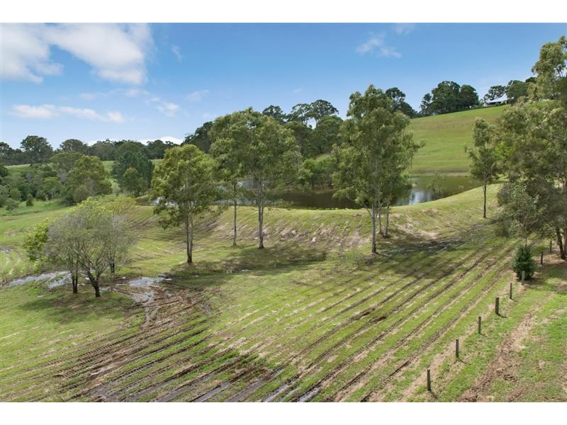 Cooroy QLD 4563