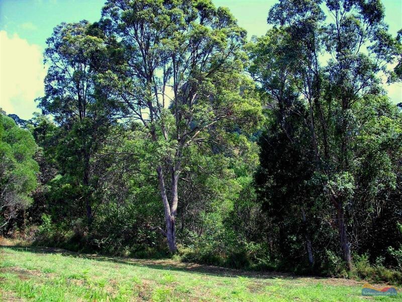 50 Bunderra Way, Cooran QLD 4569