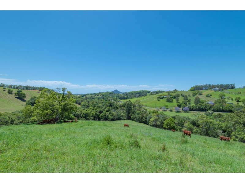 304 Cooroy Belli Creek Rd, Cooroy QLD 4563