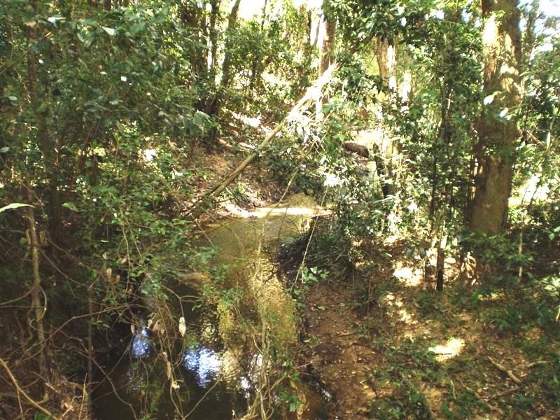 106, L12 Willawong Pl, Cooran QLD 4569