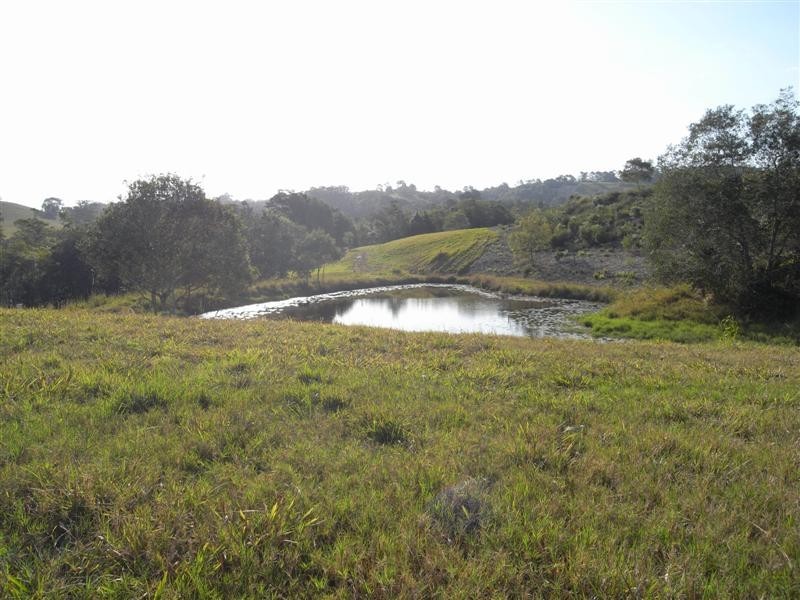 Lot 13 Cedar Springs, Jocelyn Dr, Eumundi QLD 4562