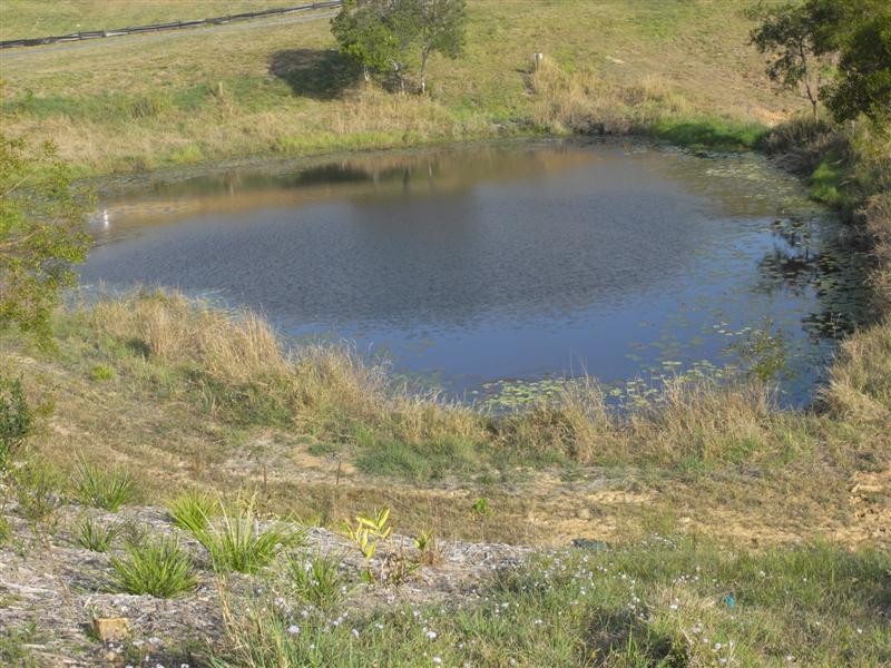 Lot 13 Cedar Springs, Jocelyn Dr, Eumundi QLD 4562