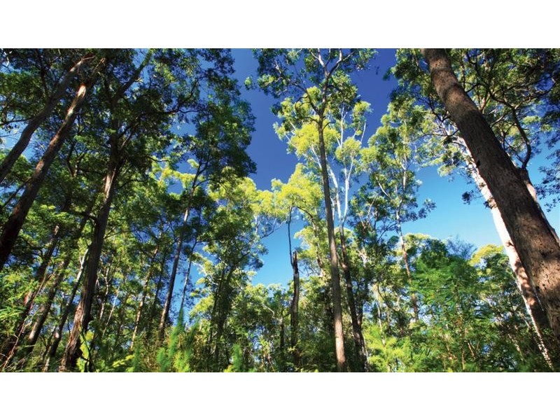 . The Reserve, Doonan QLD 4562