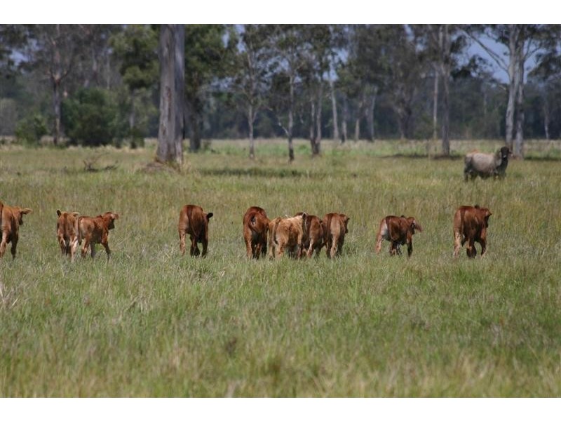 Lots 1-5,12,14 Bates Road, Cootharaba QLD 4565