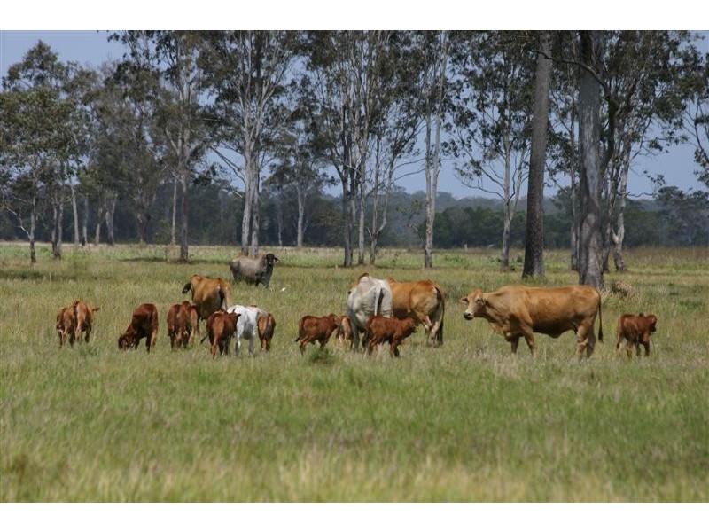 Lots 1-5,12,14 Bates Road, Cootharaba QLD 4565