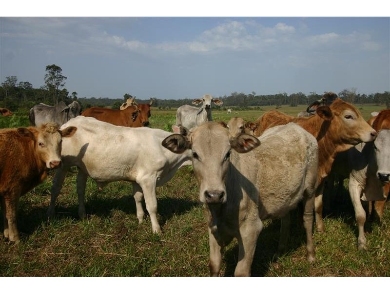 Lots 1-5,12,14 Bates Road, Cootharaba QLD 4565