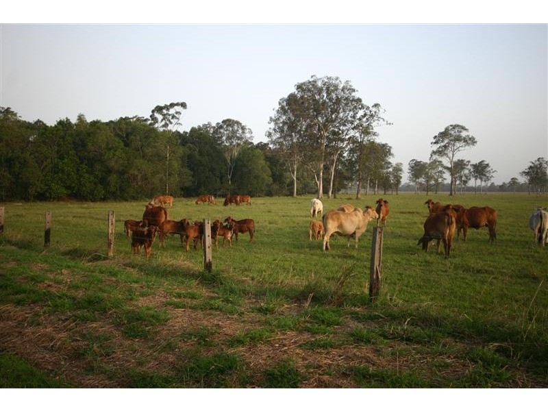Lots 1-5,12,14 Bates Road, Cootharaba QLD 4565