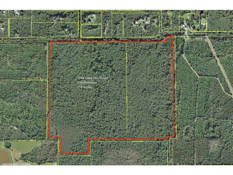 1046 Lake Flat Road, Cootharaba QLD 4565